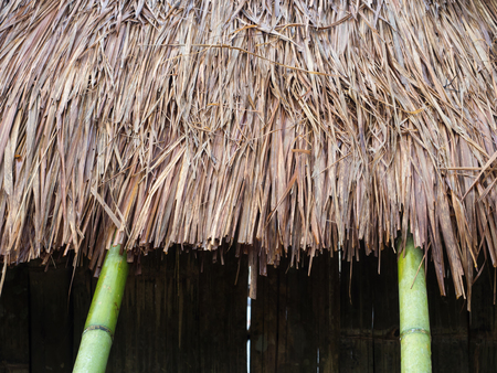 closeup of thatch roof backgroundの写真素材