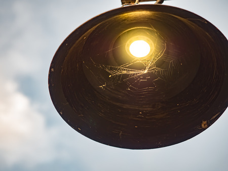 lightbulb and spiderweb on skyの写真素材