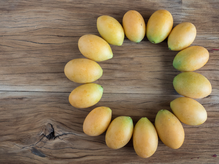 circle of marian plum on wooden background with copy space