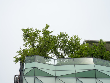 sky garden on rooftop of department store, Bangkok Thailandのeditorial素材