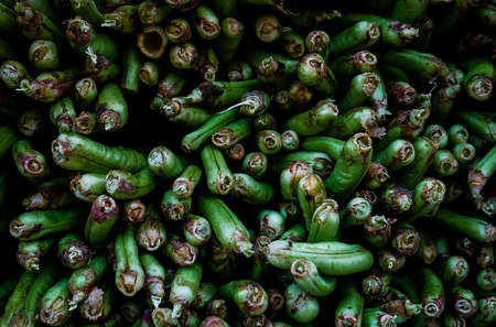 Chinese vegetable stand - long beansの写真素材