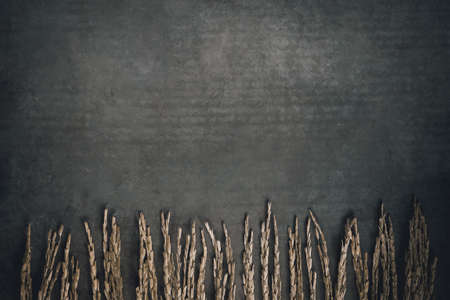 rice paddy with a backgroundの写真素材