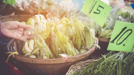 Thai exotic food in street food market with vegetable and fruit. Like the charming people, exotic foods greets you on almost every corner in Thailand.の写真素材