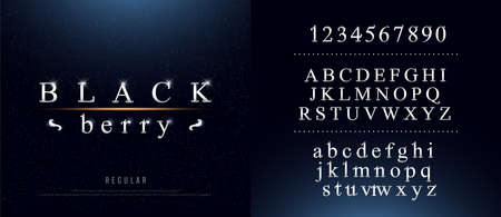 Set of Elegant silver Colored Metal Chrome alphabet font. Typography classic style silver font set for logo, Poster, Invitation. vector illustratorのイラスト素材