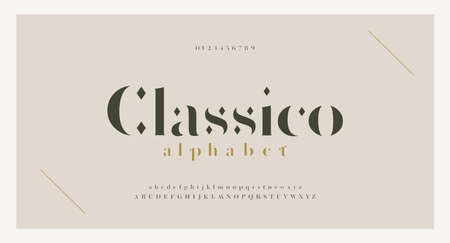 Elegant alphabet letters serif font and number. Classic Lettering Minimal Fashion. Typography fonts regular uppercase, lowercase and numbers. vector illustrationのイラスト素材