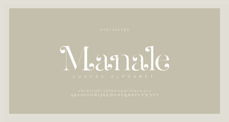 Elegant alphabet letters serif font and number. Classic Lettering Minimal Fashion. Typography Luxury fonts uppercase, lowercase and numbers. vector illustrationのイラスト素材
