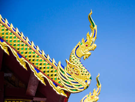 Oriental dragons
