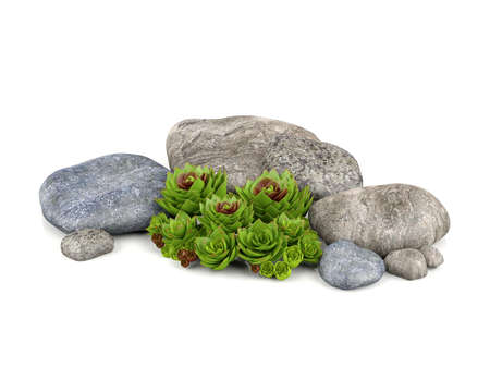 Plants and stones for garden decorationの写真素材