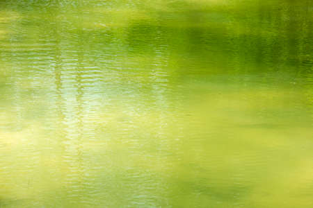 Green water surfaceの写真素材