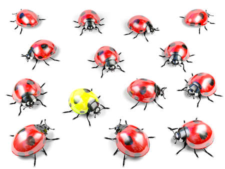 Yellow ladybug among group of red ladybugsの写真素材