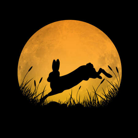 Silhouette of rabbit jumping over grass field with full moon background, vector illustration