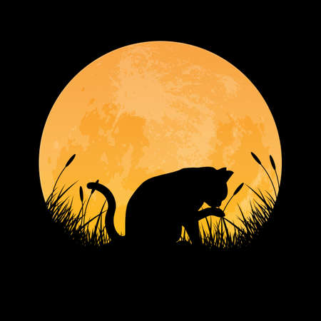 Silhouette of cat grooming itself in grass field with full moon background, vector illustrationのイラスト素材