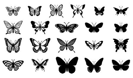 Collection of Butterfly Silhouettes, Vector Illustrationのイラスト素材