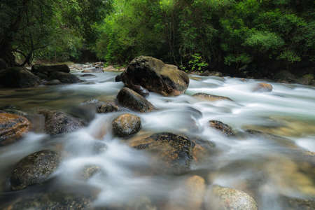 Landscape, River at tropical forest,Thailandの写真素材