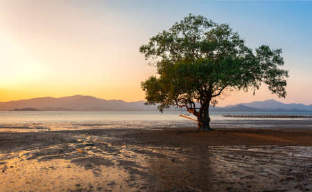 Mangrove forest and Wonderful Sky, Ranong Thailandの写真素材