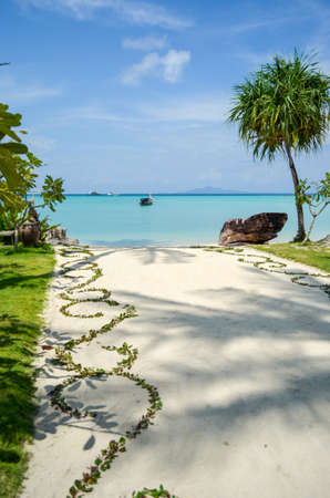 Walkway to the beach, blue skyの写真素材