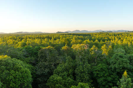 Ranong biosphere reserve