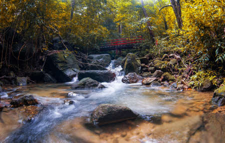 Waterfall and red bridge in Forestの写真素材