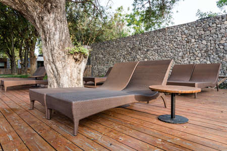 chaise longues in the garden beside swimming pool.の写真素材