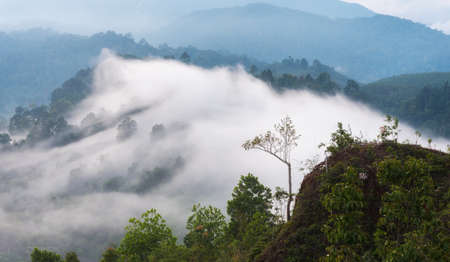 Morning fog and the beautiful sun light in a landscape