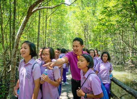 Ranong Thailand, 10 March : Thai student field trips on Nature Trail at Ranong biosphere reserve, Mangrove forest, Thailand on March 10, 2016 in Ranong Thailand.のeditorial素材