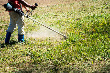 Worker cutting grass using electric lawn mowers.の写真素材