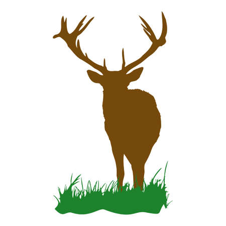 deerのイラスト素材