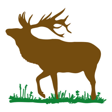 Deer standingのイラスト素材