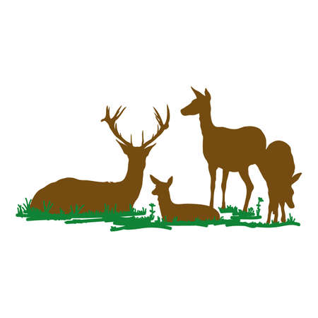 deer packのイラスト素材