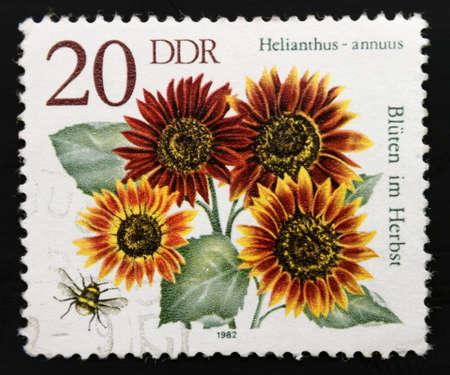 Germany postage stamp(DDR) 1982, Fall Flowers: Sunflower (Helianthus annuus)の写真素材