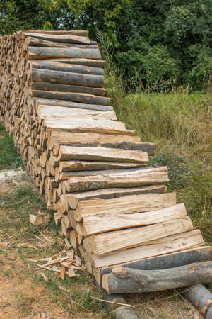 beech timber at lumber yard - chopped firewood on a stackの写真素材