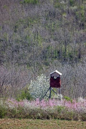 Hunting tower in the forest. Observation tower for hunting.