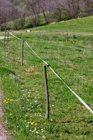 Electric fence wire on a green meadow around farm field. Selective focus and shallow dof.の写真素材