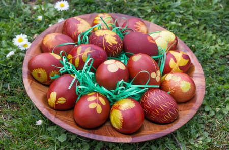 Natural dyed easter eggs colored with onion skins on meadow. Dyeing Printed Easter Eggs. Selective focus and shallow dof.の写真素材