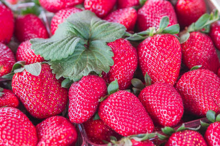 Fresh strawberry background in boxes for sale at a street market, selective focus.の写真素材