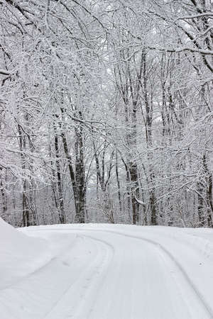 Winding mountain road snow covered in the forest. Road in snow.の写真素材