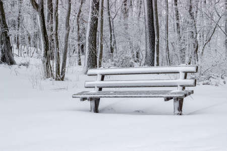 snow covered wooden sitting bench in park at winterの写真素材