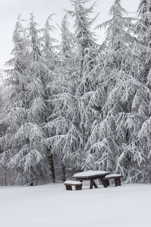 Wooden picnic table at winter. Snow covered picnic bench set with table.の写真素材