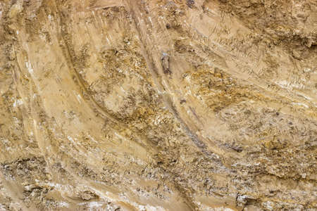 Dirt texture background, with small rocks and dust. Excavation dirt texture exposed.の写真素材