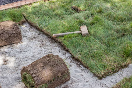installing sod, lawn and sod Installation. Selective focus.の写真素材