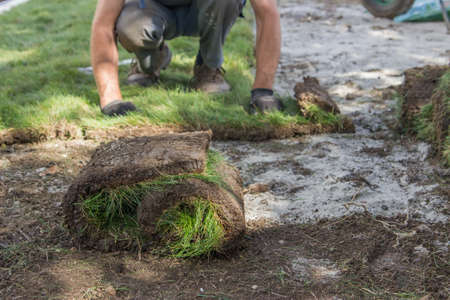 Worker installing sod, lawn and sod Installation. Selective focus.の写真素材
