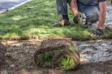 Worker installing sod, lawn and sod Installation. Selective focus.の写真素材