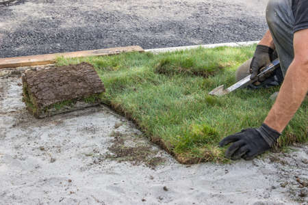 Worker installing sod, lawn and sod Installation. Selective focus.の写真素材