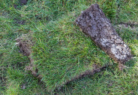 Piece of sod,  ready to be installed. Selective focus.の写真素材