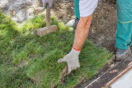 Worker installing sod, lawn and sod Installation. Selective focus.の写真素材