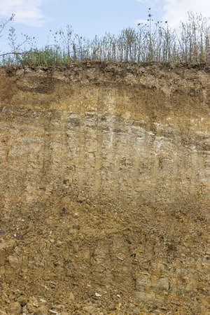 Cross section of dirt, dirt background after working excavatorの写真素材