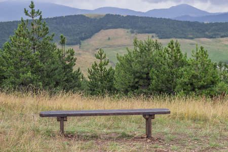 Wooden seating bench in nature, makes a good resting place.の写真素材