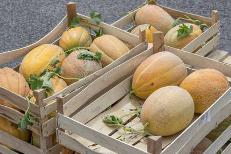 Farmers market and melons in a wooden crates. At the farmers market local growers come and sell their freshly picked crops at reasonable prices. Selective focus.の写真素材