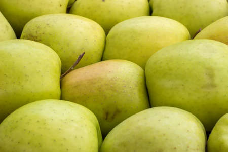 Farmers market apples background. At the farmers market local growers come and sell their freshly picked crops at reasonable prices. Selective focus.の写真素材