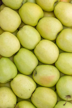 Farmers market apples background. At the farmers market local growers come and sell their freshly picked crops at reasonable prices.の写真素材